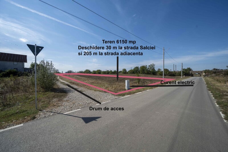 Domnesti Teren 6000mp Salciei- Haltei-Ciocarliei Drum asfaltat cu utilitati