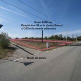 Domnesti Teren 6000mp Salciei- Haltei-Ciocarliei Drum asfaltat cu utilitati